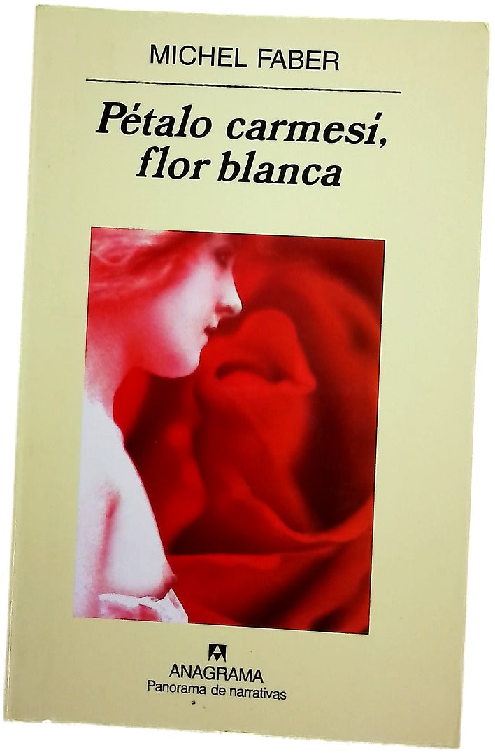 Pétalo carmesí, flor blanca
