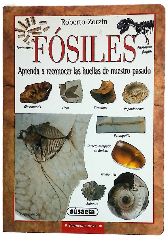 Fósiles aprenda a reconocer las huellas de nuestro pasado