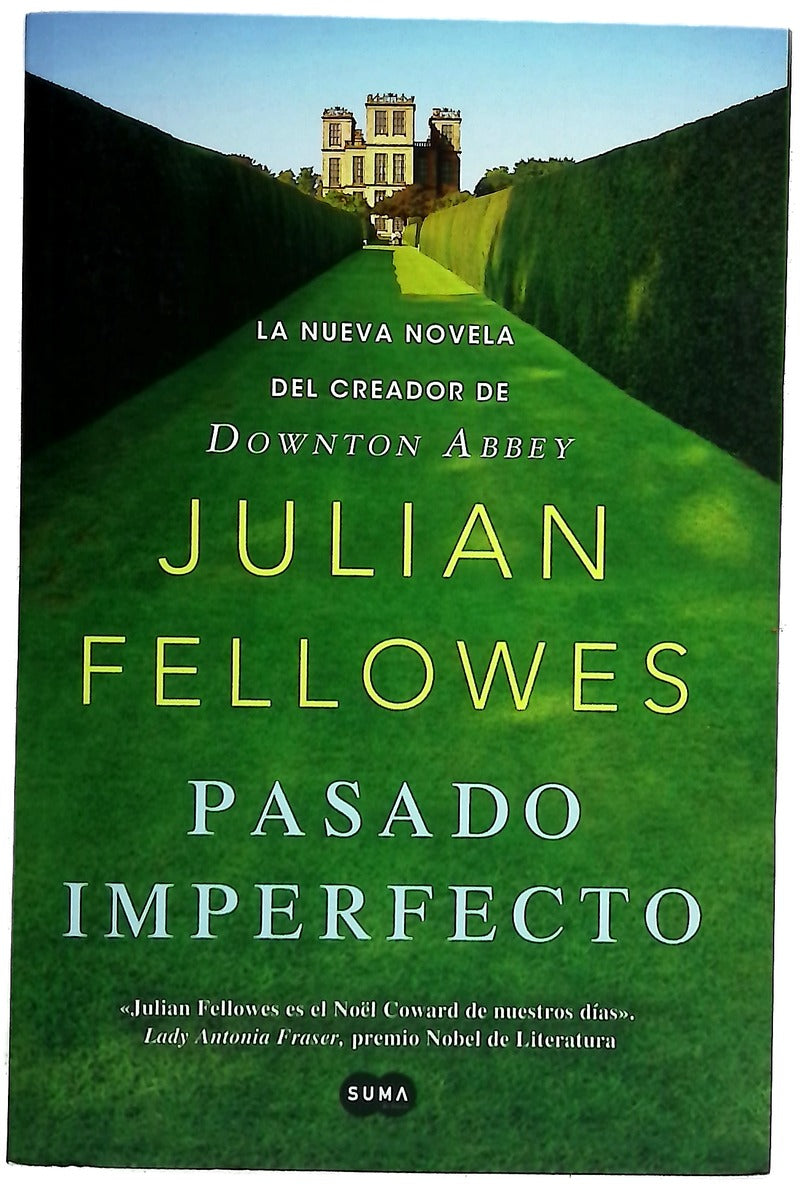 Pasado imperfecto