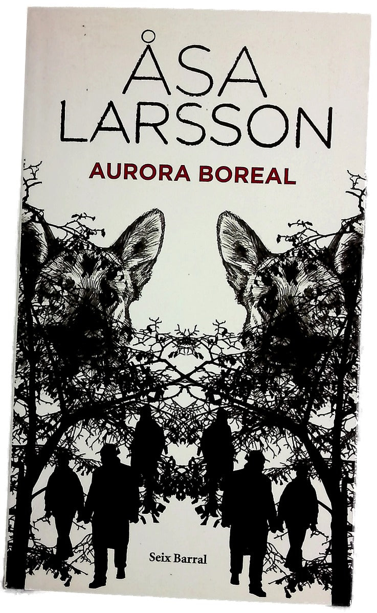 Aurora boreal