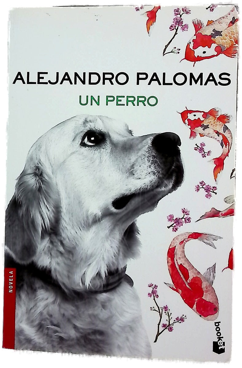 Un perro
