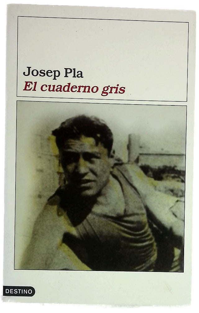 El cuaderno gris. Un dietario