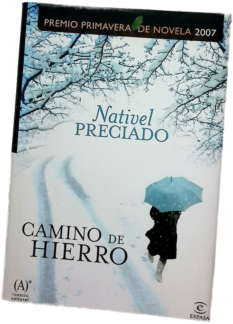Camino de hierro