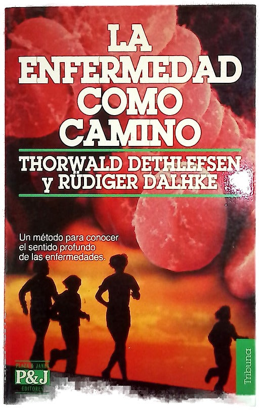 La enfermedad como camino