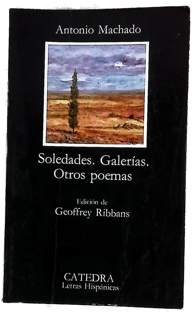 Soledades, Galerías, otros poemas.
