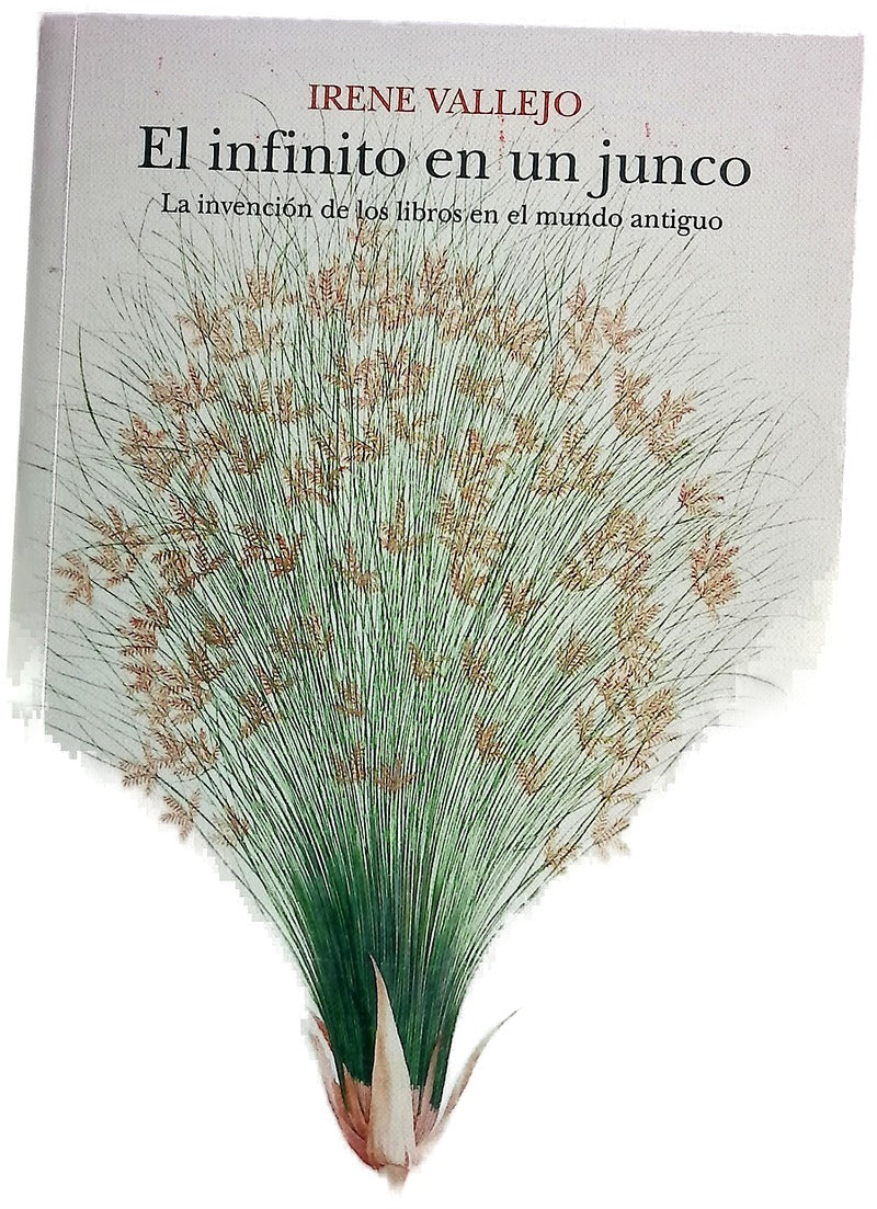 El infinito en un junco : la invención de los libros en el mundo antiguo