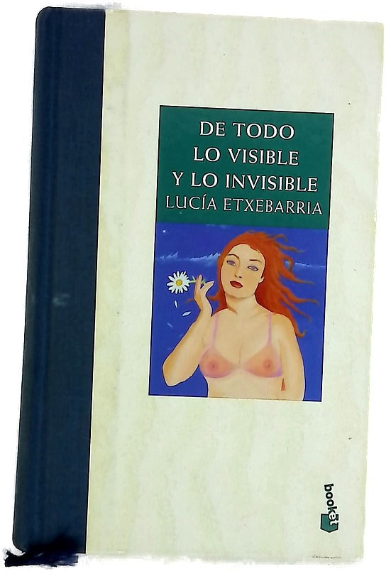 De todo lo visible y lo invisible una novela sobre el amor y otras mentiras