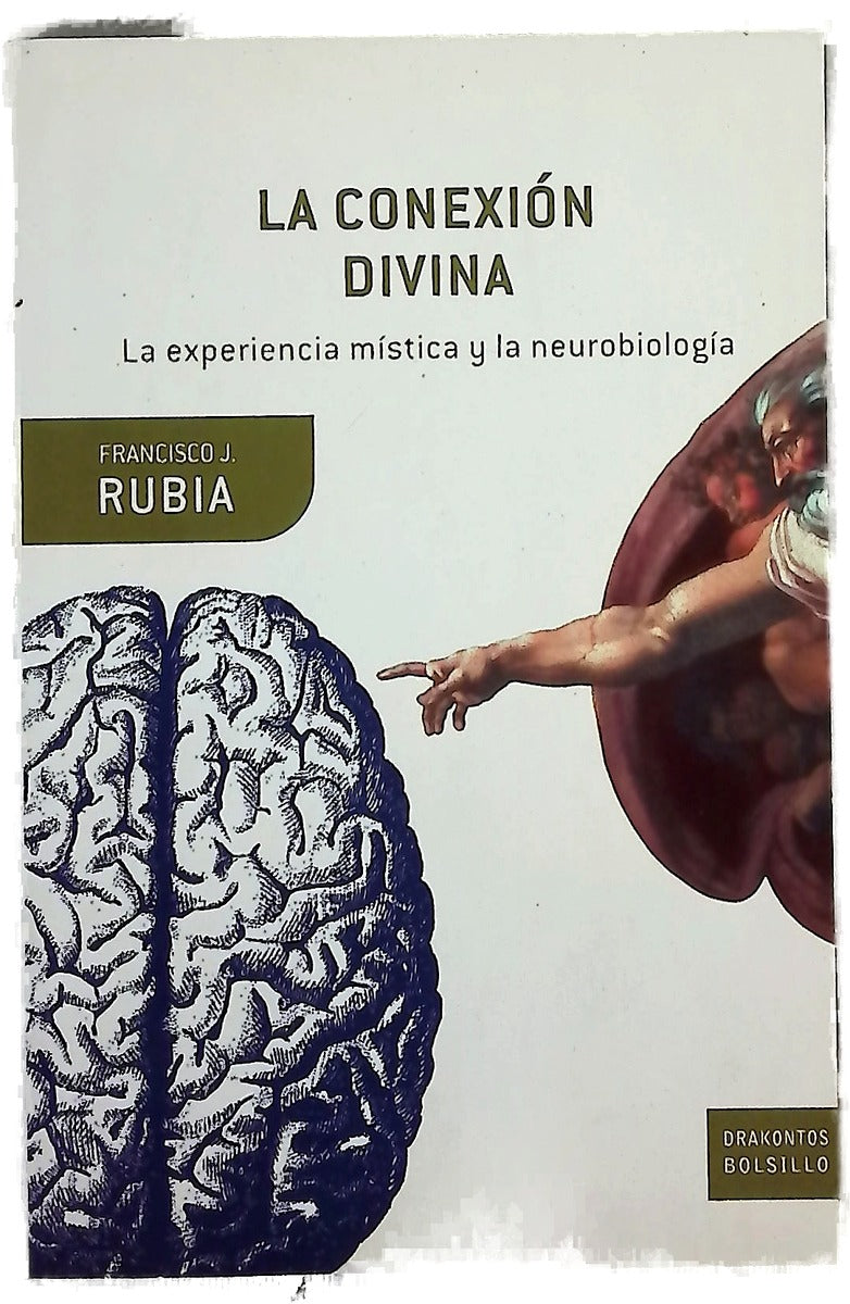 La conexión divina la experiencia mística y la neurobiología
