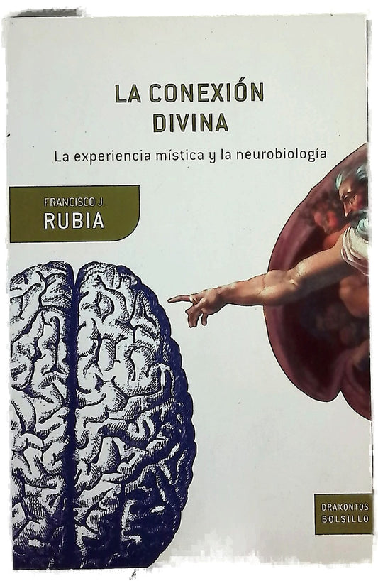 La conexión divina la experiencia mística y la neurobiología