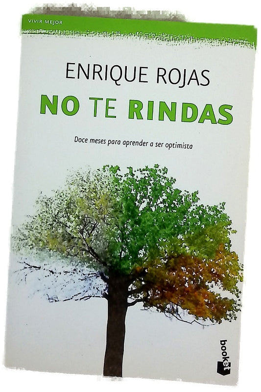 No te rindas : doce meses para aprender a ser optimista