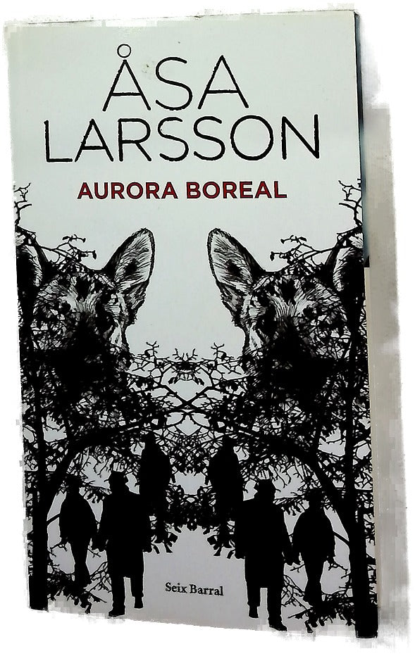 Aurora boreal