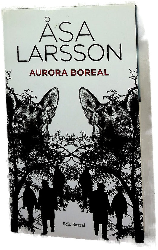 Aurora boreal