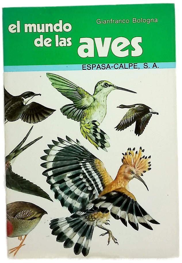 El Mundo De Las Aves 
