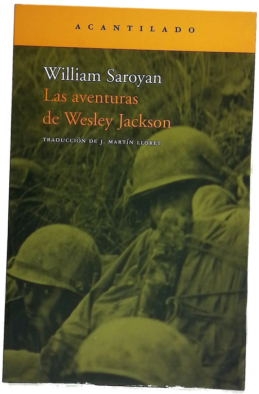 Las aventuras de Wesley Jackson