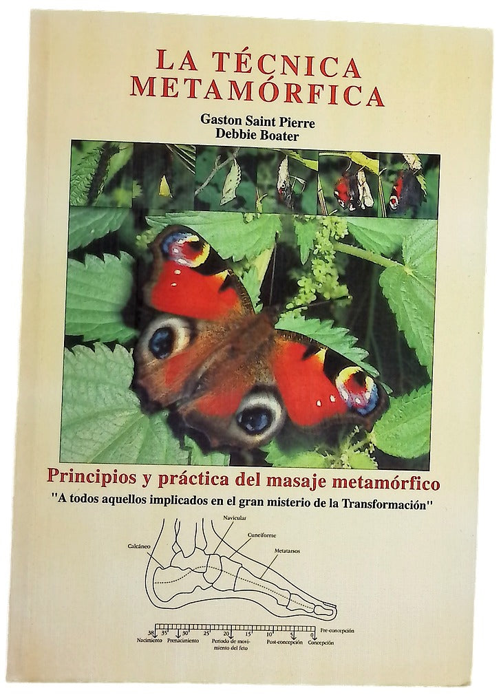 La técnica metamórfica
