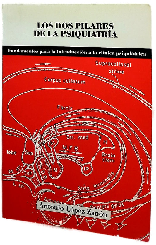 Los dos pilares de la psiquiatría (fundamentos para una introducción a la clínica psiquiátrica)