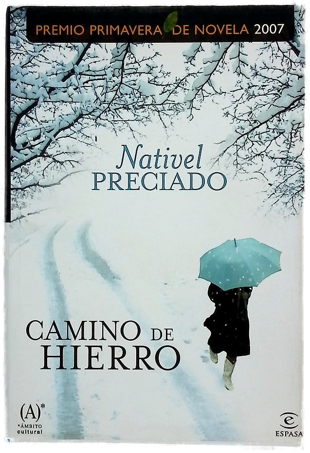 Camino de hierro