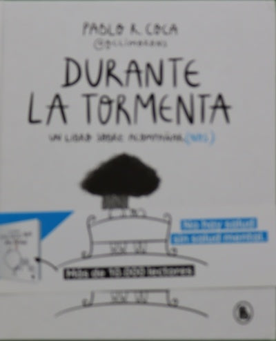 Durante la tormenta : un libro sobre acompañar(nos)