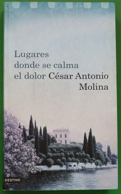 Lugares donde se calma el dolor