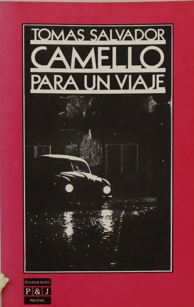Camello para un viaje