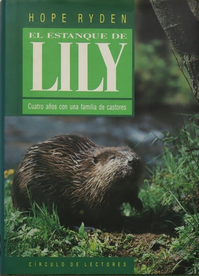 El estanque de Lily cuatro años con una familia de castores