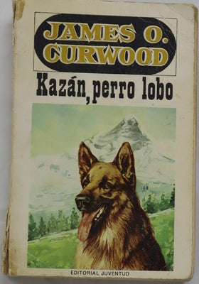 Kazán, perro lobo