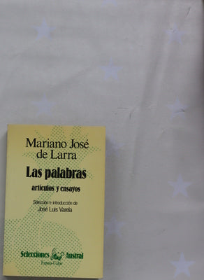 Las palabras artículos y ensayos