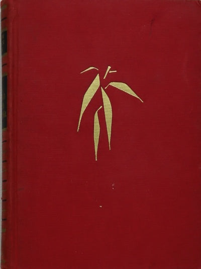 El pueblo de la montaña