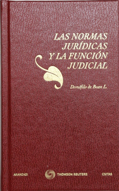 Las normas jurídicas y la función judicial