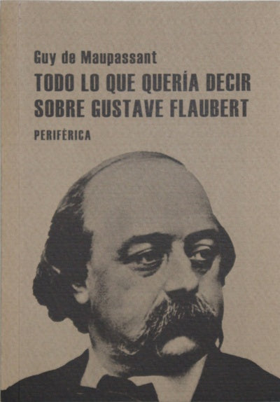 Todo lo que quería decir sobre Gustave Flaubert