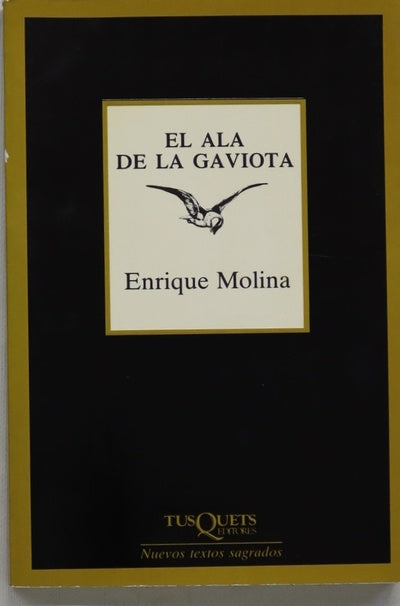 El ala de la gaviota