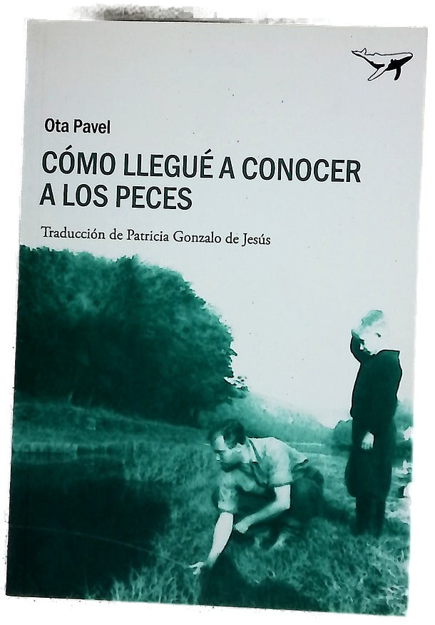 Cómo llegué a conocer a los peces