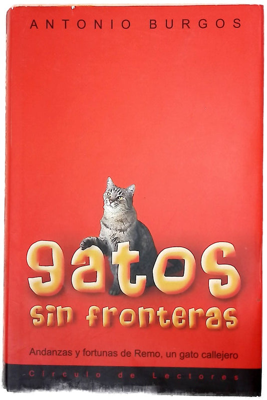 Gatos sin fronteras andanzas y fortunas de Remo, un gato callejero