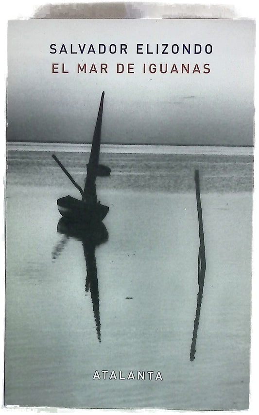 El mar de iguanas