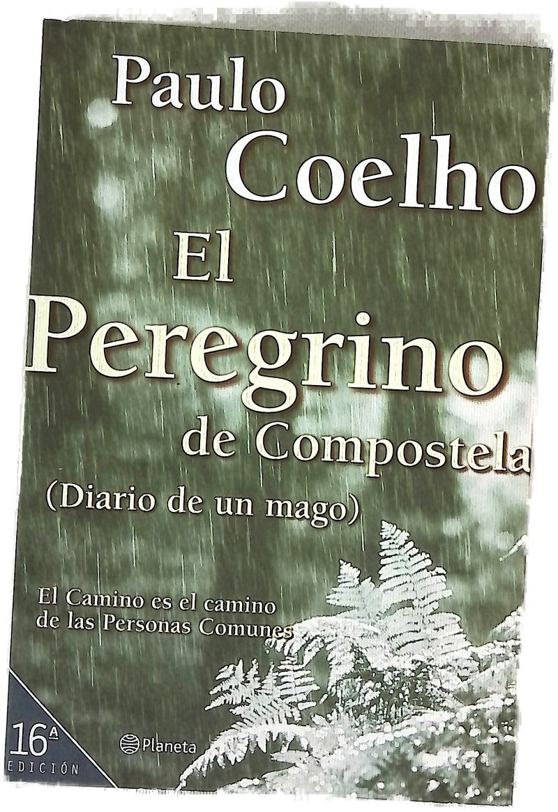 El peregrino de Compostela (diario de un mago)