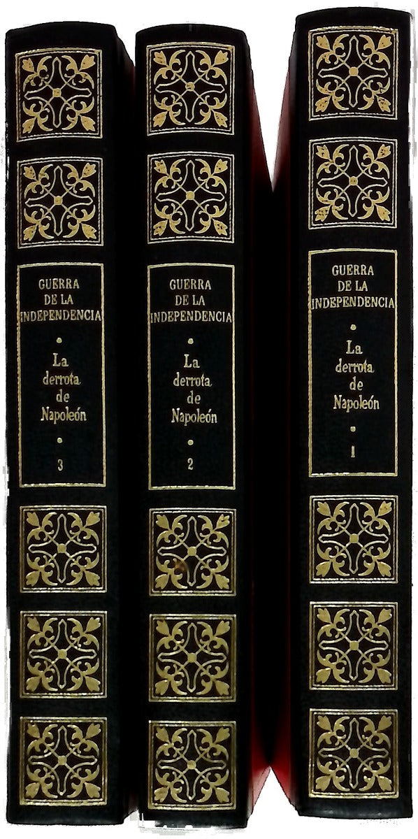 Guerra de la Independencia la derrota de Napoleón