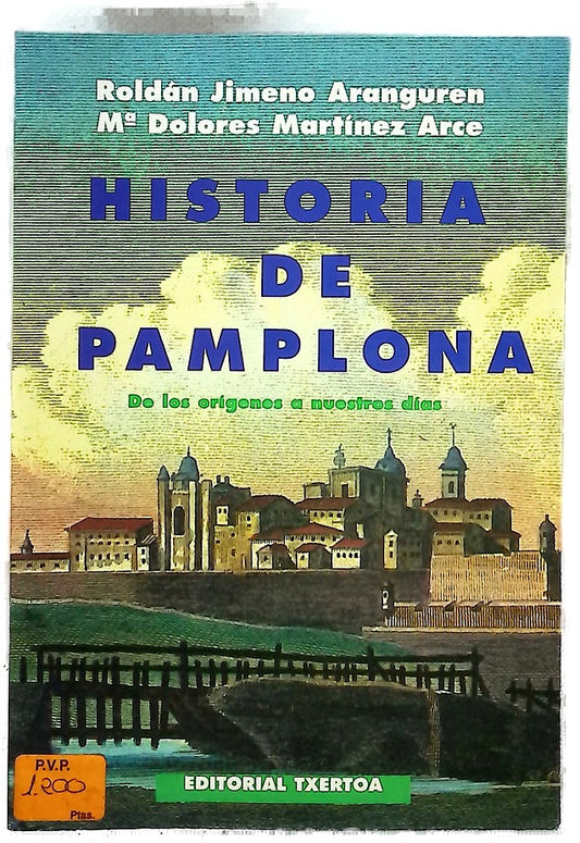 Historia de Pamplona desde los orígenes hasta nuestros días