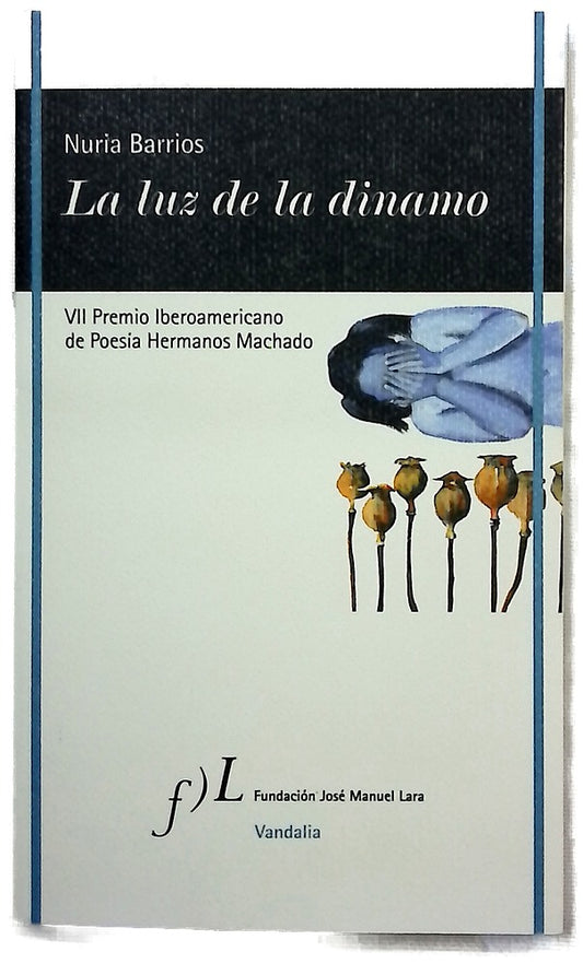 La luz de la dinamo