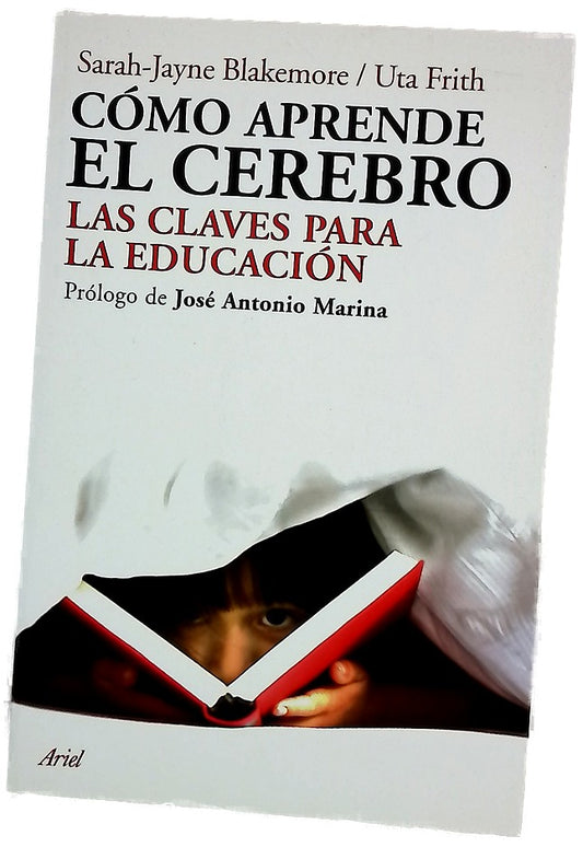 Cómo aprende el cerebro las claves para la educación