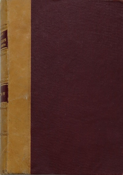 El Ingenioso Hidalgo Don Quijote de la Mancha (t. IV)