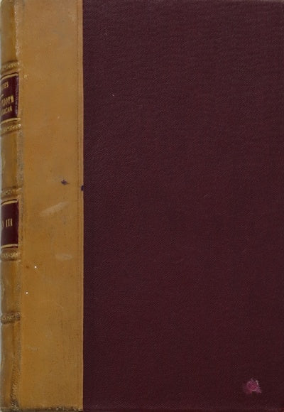 El Ingenioso Hidalgo Don Quijote de la Mancha (t. III)