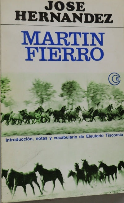 Martín Fierro