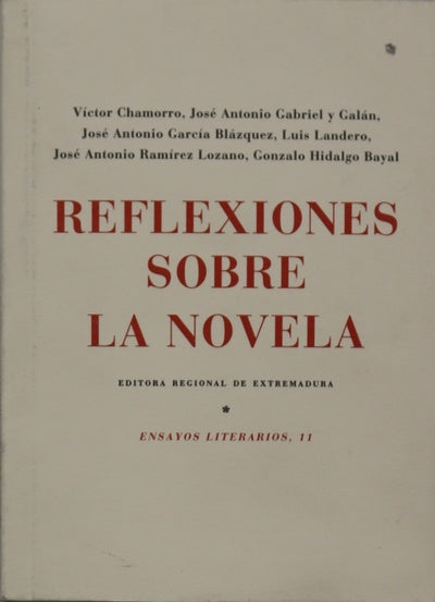 Reflexiones sobre la novela
