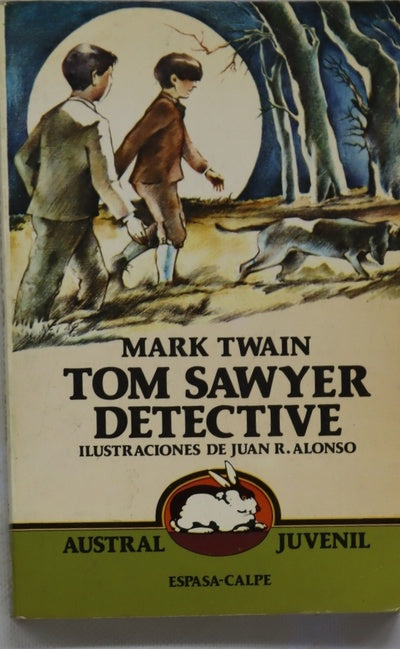 Tom Sawyer detective