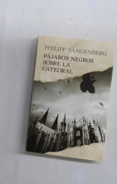 Pájaros negros sobre la catedral
