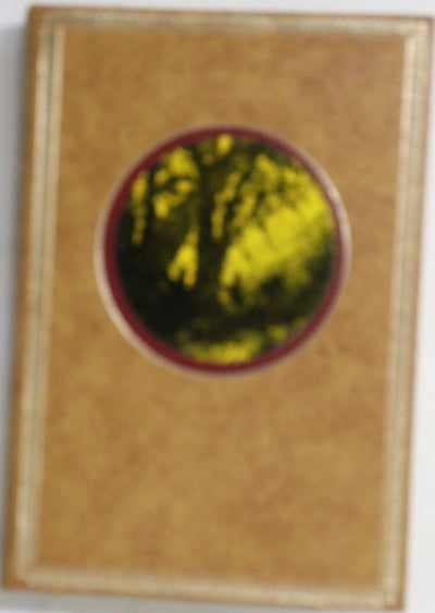 La isla misteriosa ( I )