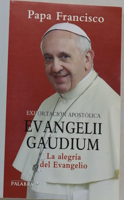 Exhortación apostólica "Evangelii gaudium" del Santo Padre Francisco a los obispos, a los presbíteros y diáconos, a las personas consagradas y a los fieles laicos sobre el anuncio del evangelio en el mundo actual