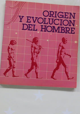 Origen y evolución del hombre exposición