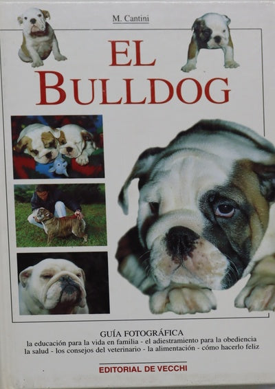 El bulldog