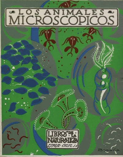 Los animales microscópicos